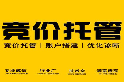 短视频平台上的信息流广告投放效果分析